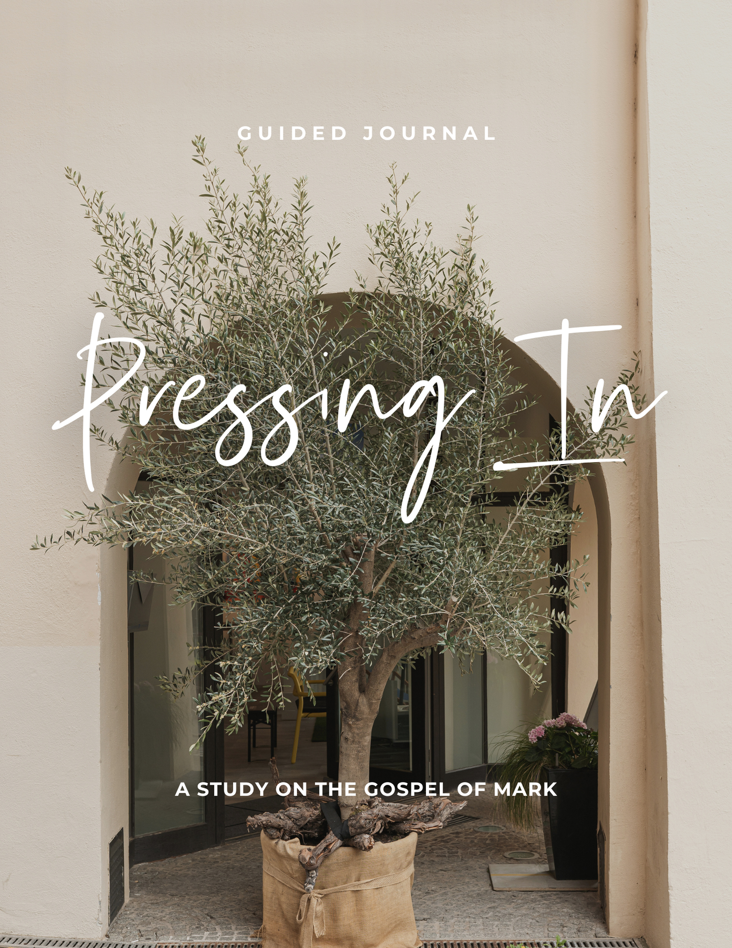 Pressing In: Gospel of Mark Journal