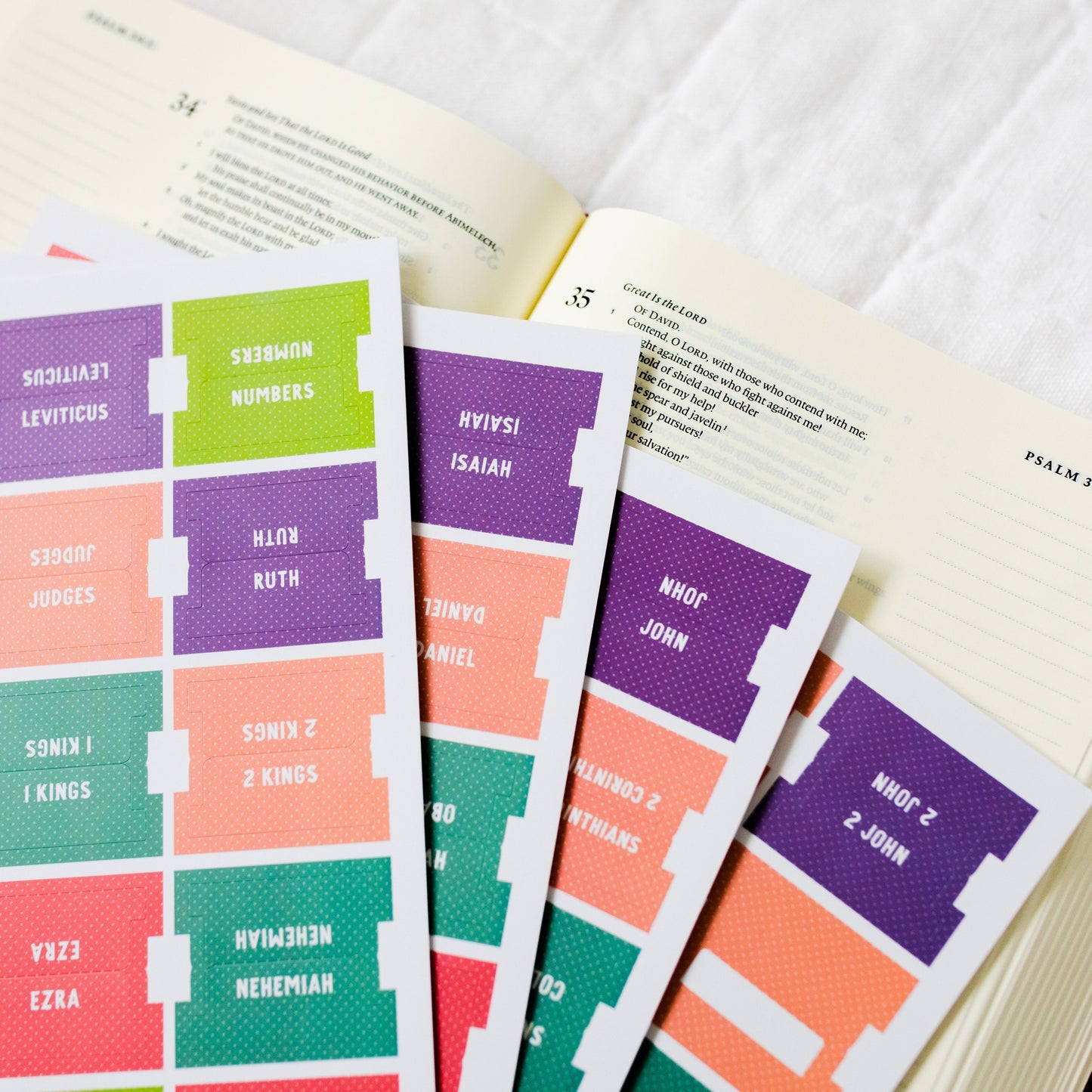 Bright Bible Tabs