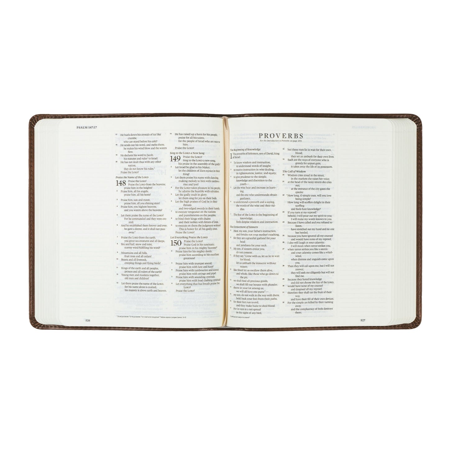 Open Bible with lined margins for taking notes