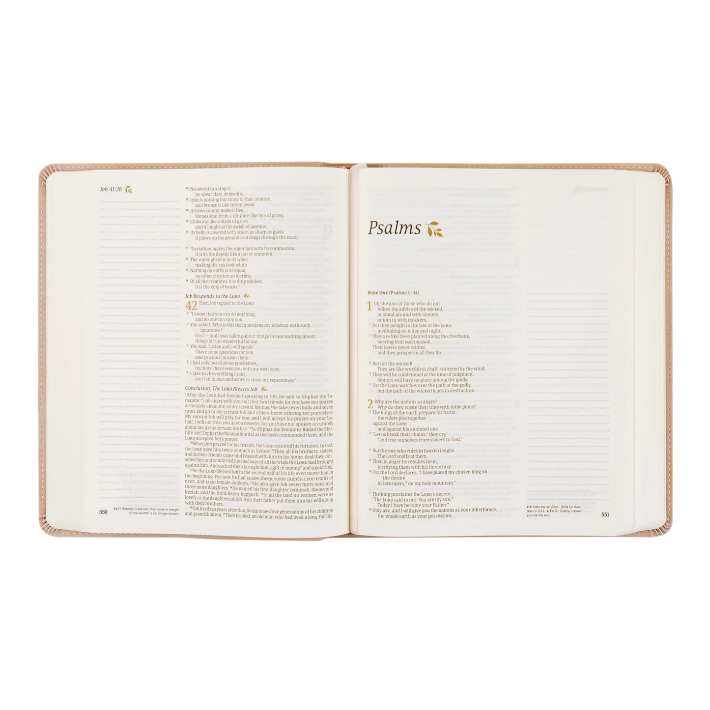 Blush Pink - NLT Notetaking Bible