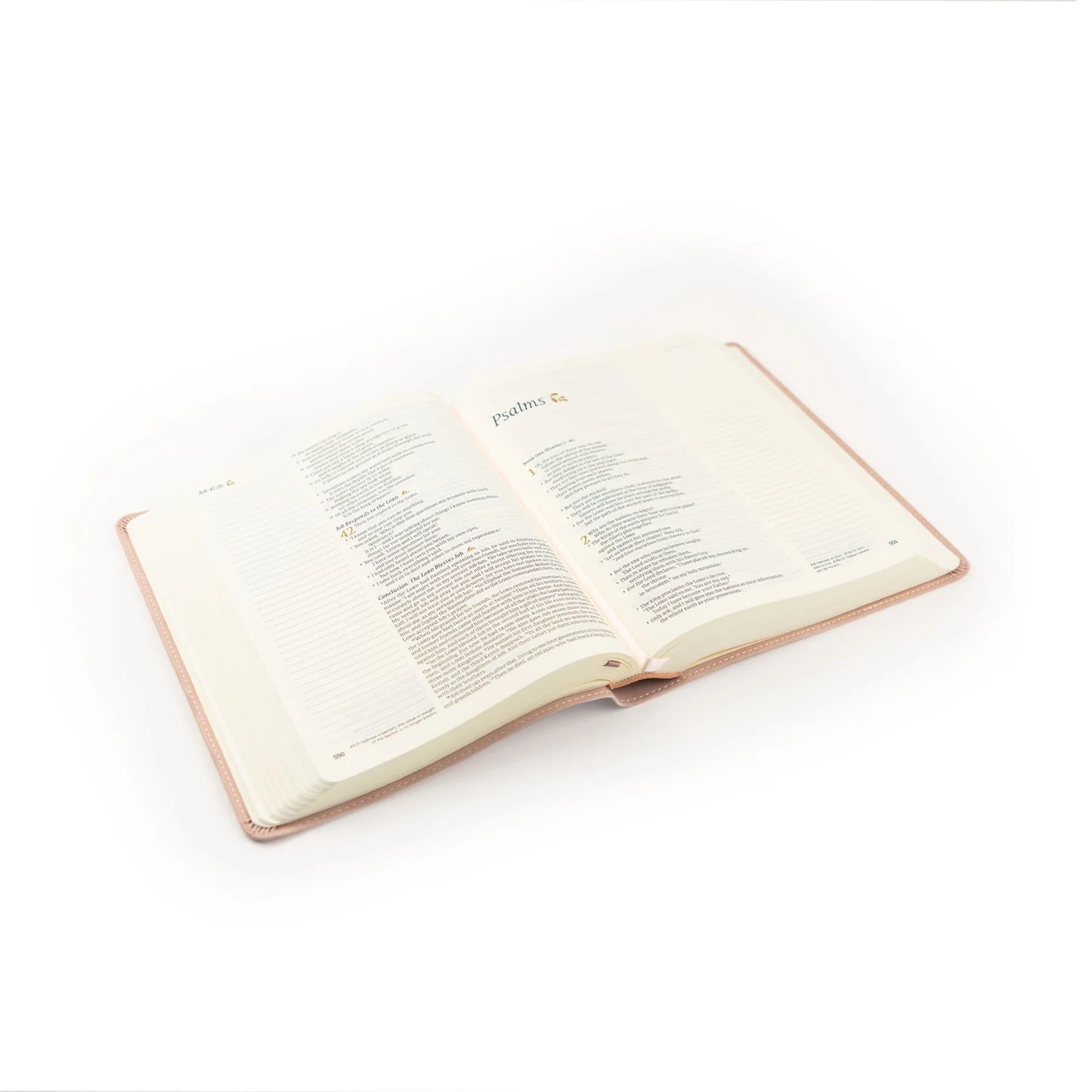 Blush Pink - NLT Notetaking Bible